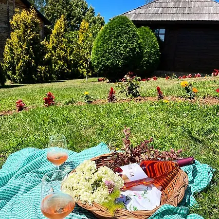 酒店 Etno Selo Vranesa Zlatar Nova Varoš