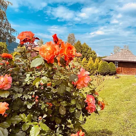 Etno Selo Vranesa Zlatar * Nova Varoš