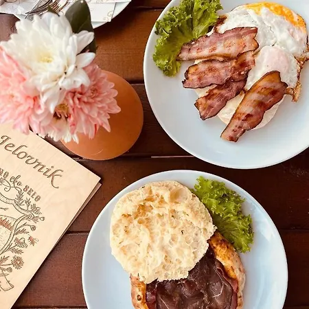 Etno Selo Vranesa Zlatar 酒店 *